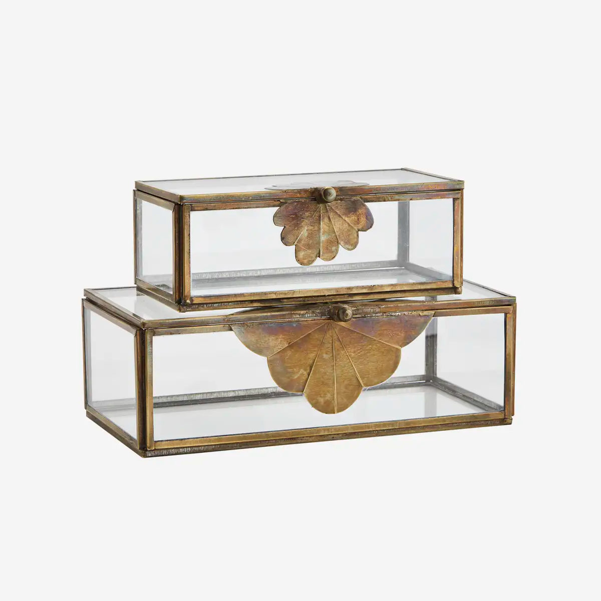 Madam glerbox leaf minna