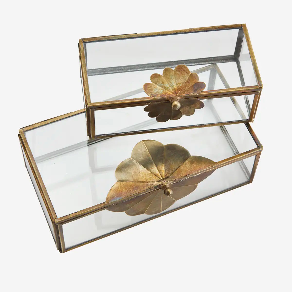 Madam glerbox leaf minna