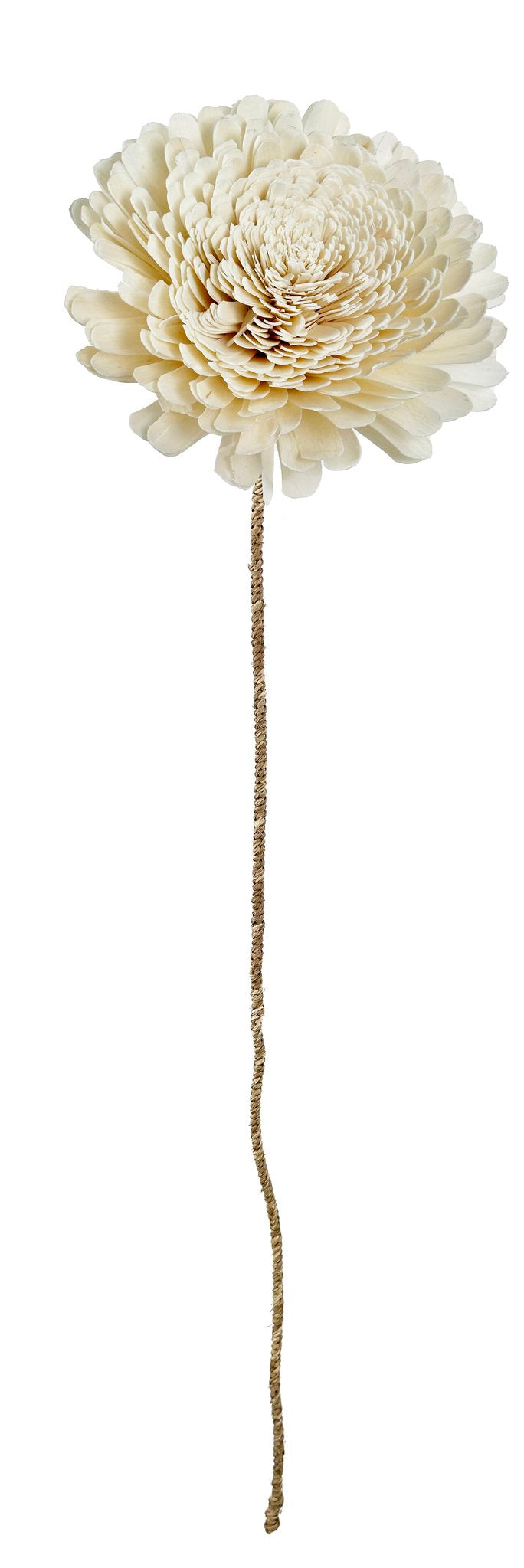 Sola flower cream 25x27x100cm