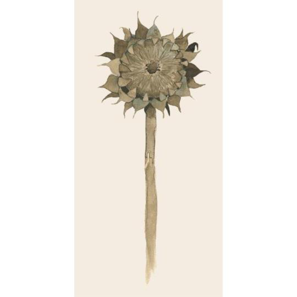 Servíettur Sunflower in decay 16stk