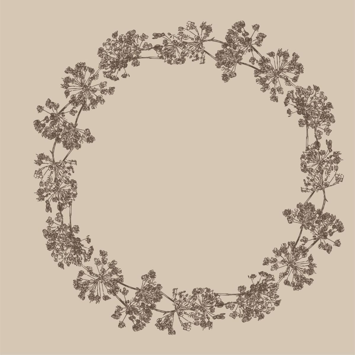 Servíettur umbel flowers 50stk