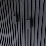Remi Cabinet 2drs - black