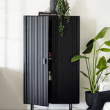 Remi Cabinet 2drs - black