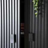 Remi Cabinet 2drs - black