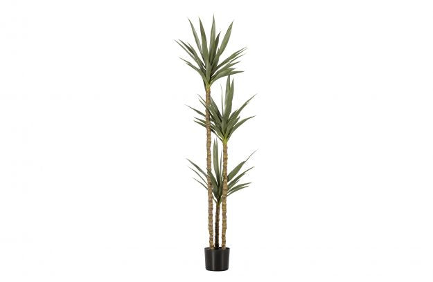 
            YUCCA gerviplanta græn 155CM