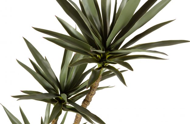 
            YUCCA gerviplanta græn 155CM