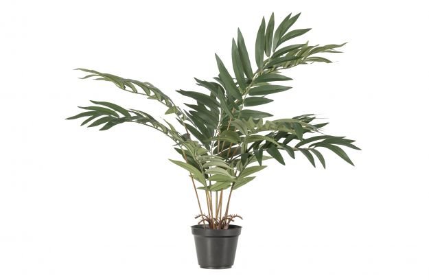 
            KWAI ARTIFICIAL PLANT GREEN 68CM